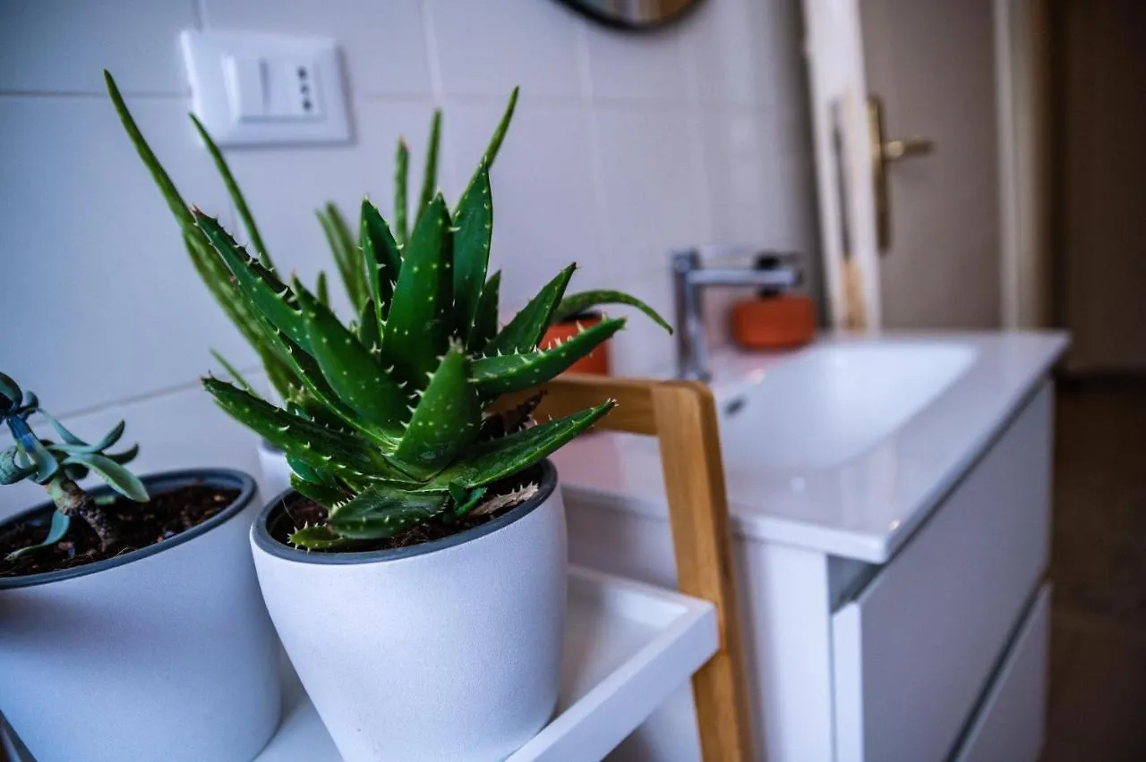 Cozysuites-Vaticancity Rome
